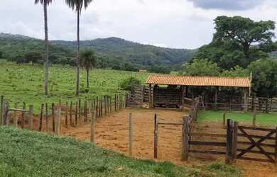 Imagem 6: Fazenda 1.512 há, casa sede e de caseiro, nascentes, com acesso ao rio cipó