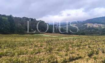 Imagem 6: PRÉ-LANÇAMENTO EXCLUSIVO EM COTIA