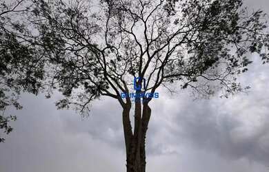 Imagem 5: Casa de condomínio para venda possui 1750 metros quadrados
