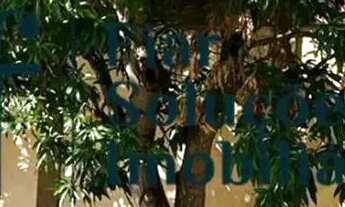 Imagem 7: TERRENO SANTA CRUZ - OPORTUNIDADE