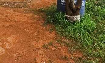 Imagem 2: Chácara com casa Belvedere 2