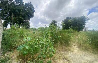 Imagem 6: Localização privilegiada venda ou arrendamento área Avenida Fraga Maia
