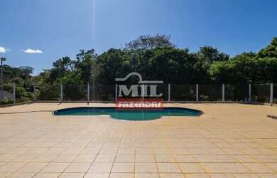 Imagem 3: Chácara 4.62 Alqueires (22.313 Hectares) Bela Vista de Goias - GO