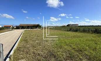 Imagem 2: Excelente rancho de 3.000m² em um condomínio fechado - Condomínio Rancho das Palmeiras