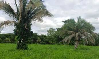 Imagem 6: Chácara à venda em Matrinchã, Goiás 15 Alqueires