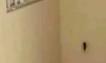 Imagem 5: CASA NA CAMBOA Casa com 2 dormitórios