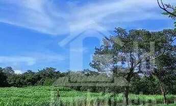 Imagem 5: Sítio à venda, 193600 m² por R$ 2.000.000 - Zona Rural - Santa Rosa de Viterbo/SP