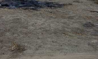 Imagem 5: Vendo lote a 600 metros da praça do retiro