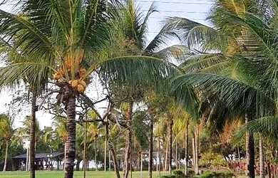 Imagem 4: Lote Condomínio Porto Lagoa