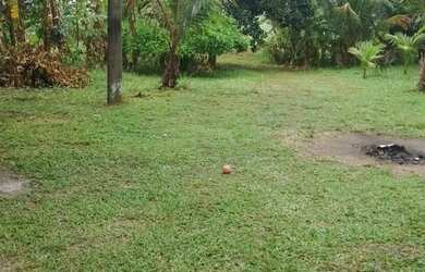 Imagem 5: Sítio Completo no Sapé - Escriturado e Todo Murado!