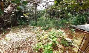 Imagem 3: Vendo ótima chácara no núcleo rural vale verde em Planaltina-DF