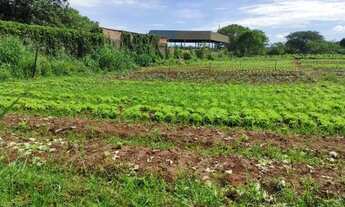 Imagem 3: Arrendo área 9.000m² p/ Plantio hortaliças e verduras Próx. Praça Violeiro em Goiânia