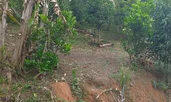 Imagem 4: Super 2,2 hectares 3 lagos casa sede 1km da rodovia 220 mil reais