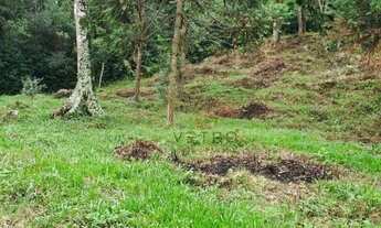 Imagem 7: Terreno em São Francisco de Paula!