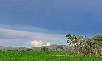 Imagem 3: Fazenda 208 Algueires em Colinas/GO