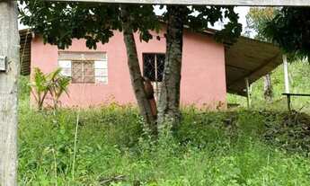 Imagem 4: Sítio para Venda em Flexeiras, Zona Rural, 3 dormitórios, 1 banheiro