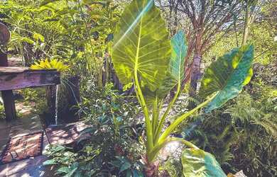 Imagem 5: Aluguel para diárias e finais de semana- Casa do Vale, Hidrolândia, GO