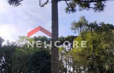 Imagem 3: Lote em Xaxim - Xaxim - Tijucas do Sul/PR