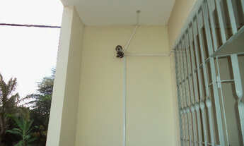 Imagem 3: Kitnete 2 quartos