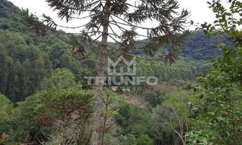 Imagem 6: SÍTIO de 3 hectares com vista !!