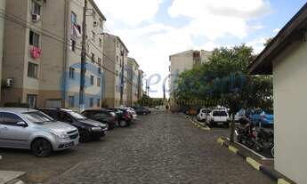 Imagem: Predicom Vende