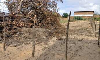 Imagem 5: Terreno á 2km de Genipabu - Documentado