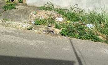 Imagem 6: Terreno em Itinga