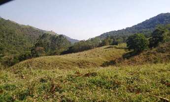 Imagem 3: Fazenda/Sítio/Chácara para venda possui 314600 metros quadrados com 2 quartos