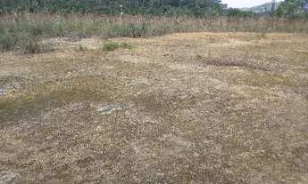 Imagem 2: Sitio em Garuva - SC