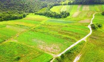 Imagem 4: Lote/Terreno para venda com 500 metros quadrados em Vila Pindorama - Barueri - SP