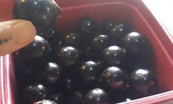 Imagem 7: Terreno 750m² para venda no Pousada do Vale