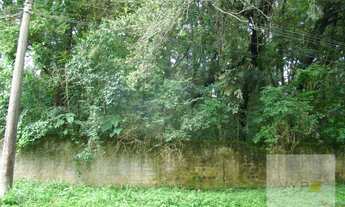 Imagem 3: Venda terreno Vista Alegre testada 72,30