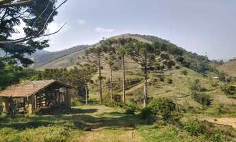 Imagem: Fazenda/Sítio/Chácara para venda possui