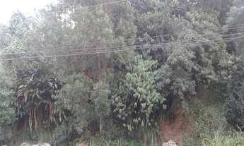 Imagem 6: TERRENO RESIDENCIAL em Cotia - SP, Cotia