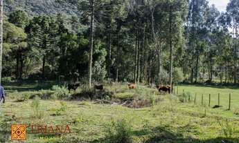 Imagem 5: Terreno - Rio Rufino SC