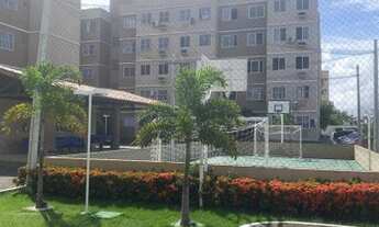 Imagem: Apartamento para aluguel tem 50 metros quadrados