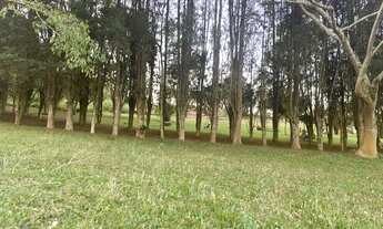 Imagem 7: Oportunidade em Ibiúna para ter seu terreno de 1000m² - SP