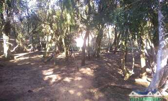 Imagem 4: Águas claras, sítio pronto para o seu lazer, casa, piscina e galpão!