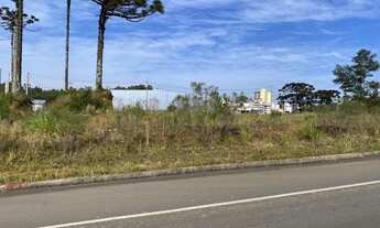 Imagem: CAXIAS DO SUL - Terreno Padrão - Jardim