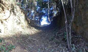 Imagem: Terreno no bairro Engenho do Mato