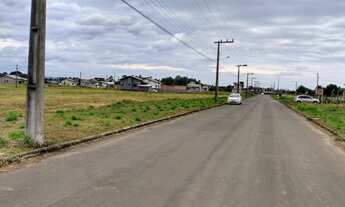 Imagem 4: FORQUILHINHA - Terreno Padrão - SANTA CRUZ