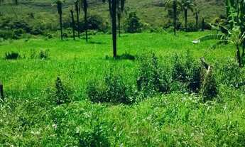 Imagem 4: Fazenda para Venda em Senador Modestino Gonçalves, zona rural, 2 dormitórios, 1 banheiro