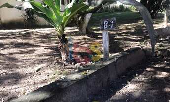 Imagem 3: APARTAMENTO MOBILIADO 2/4 NO RESIDENCIAL JAPARÁ