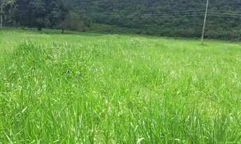 Imagem 3: Fazenda/Sítio/Chácara para venda tem 2500 metros quadrados com 1 quarto em Centro - Joinvi