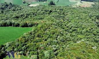Imagem 5: Terreno para Venda em Campo Largo, Colônia Balbino Cunha