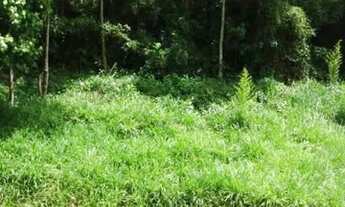 Imagem 4: Apartamento- Petrópolis, Centro