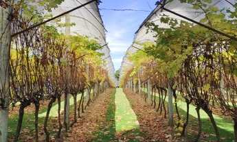Imagem 5: Casa alto padrão em condominio em Rancho Queimado na Serra Catarinense