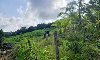 Imagem 7: Sítio 5 alqueires, Pomar, Casa ( Willian Ricardo
