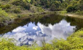 Imagem 2: Fazenda na Bahia: Cacau, Nascentes - Jaguaquara