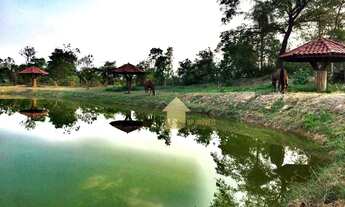 Imagem 5: Linda Chacara em Santo Antonio de Leverger